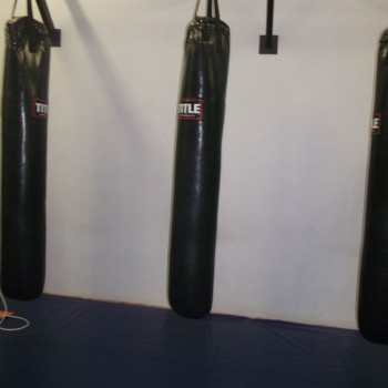 pg2-005 (1) Punch Bags